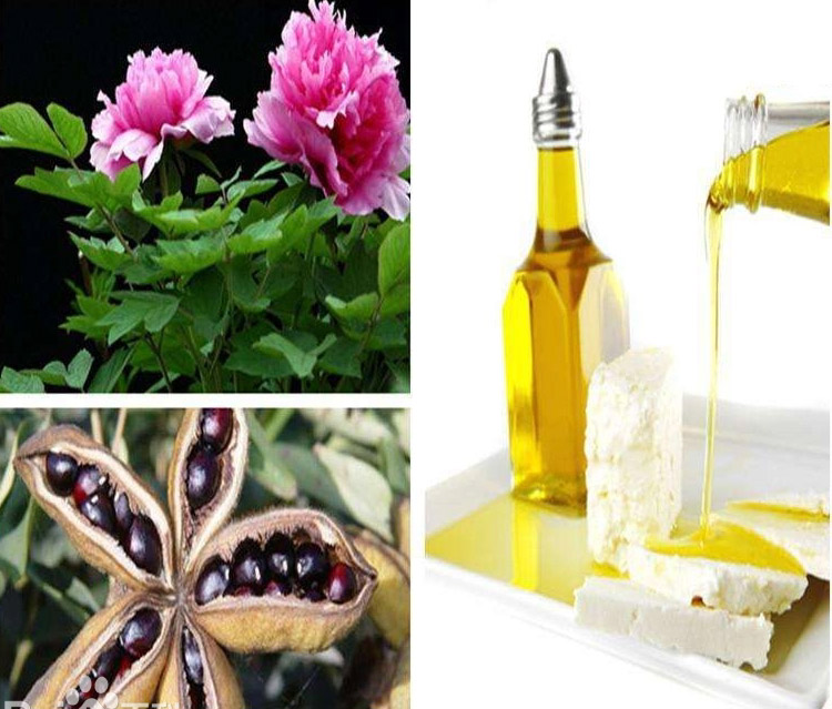 牡丹籽油的產(chǎn)品技術(shù)要求